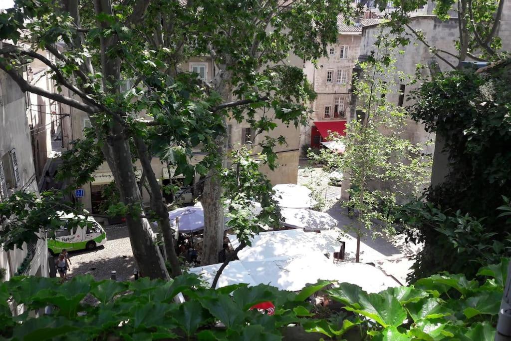 Appartamento RÉNOVÉ, vue SUR Palais des Papes, terrasse et WIFI TROISIEME ETAGE Avignone Esterno foto