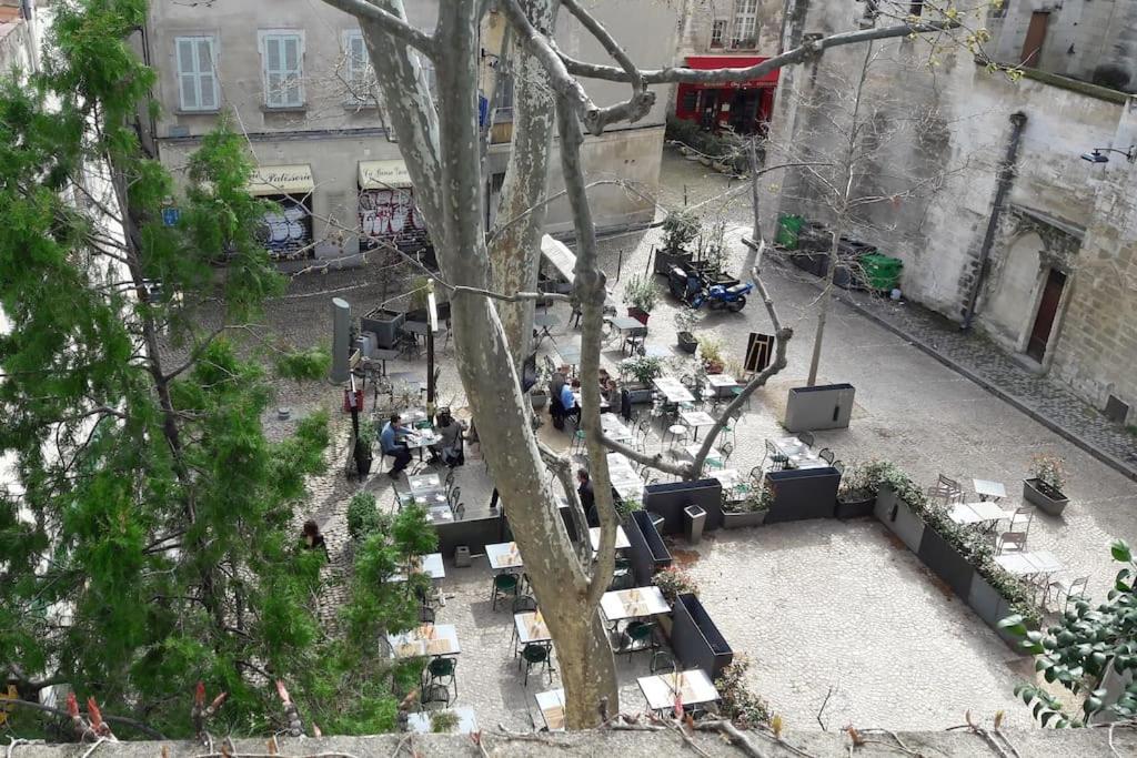 Appartamento RÉNOVÉ, vue SUR Palais des Papes, terrasse et WIFI TROISIEME ETAGE Avignone Esterno foto